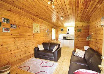 Dragonfly sleeps 5
