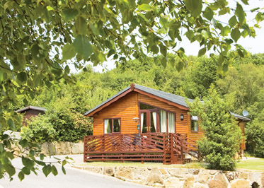 Click here for more about Willow Tree Lodge