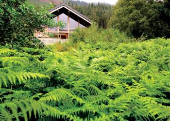 Cottage holidays Scotland - Silver Birch 2