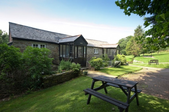 Click here for more about Oak Tree