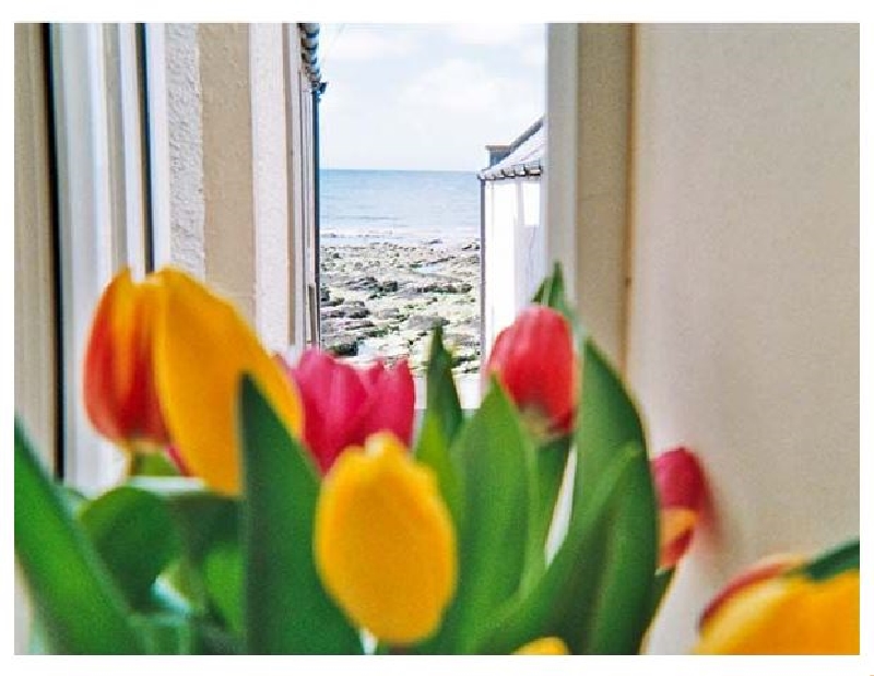 Click here for more about Ellie-Ann Cottage
