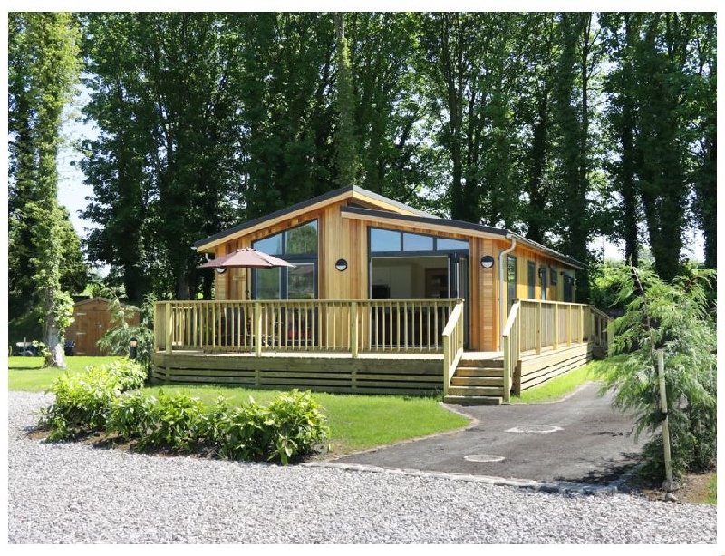 Click here for more about Squirrel Lodge