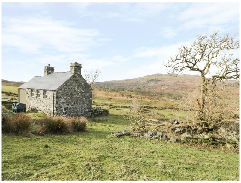 Click here for more about Isallt Bach